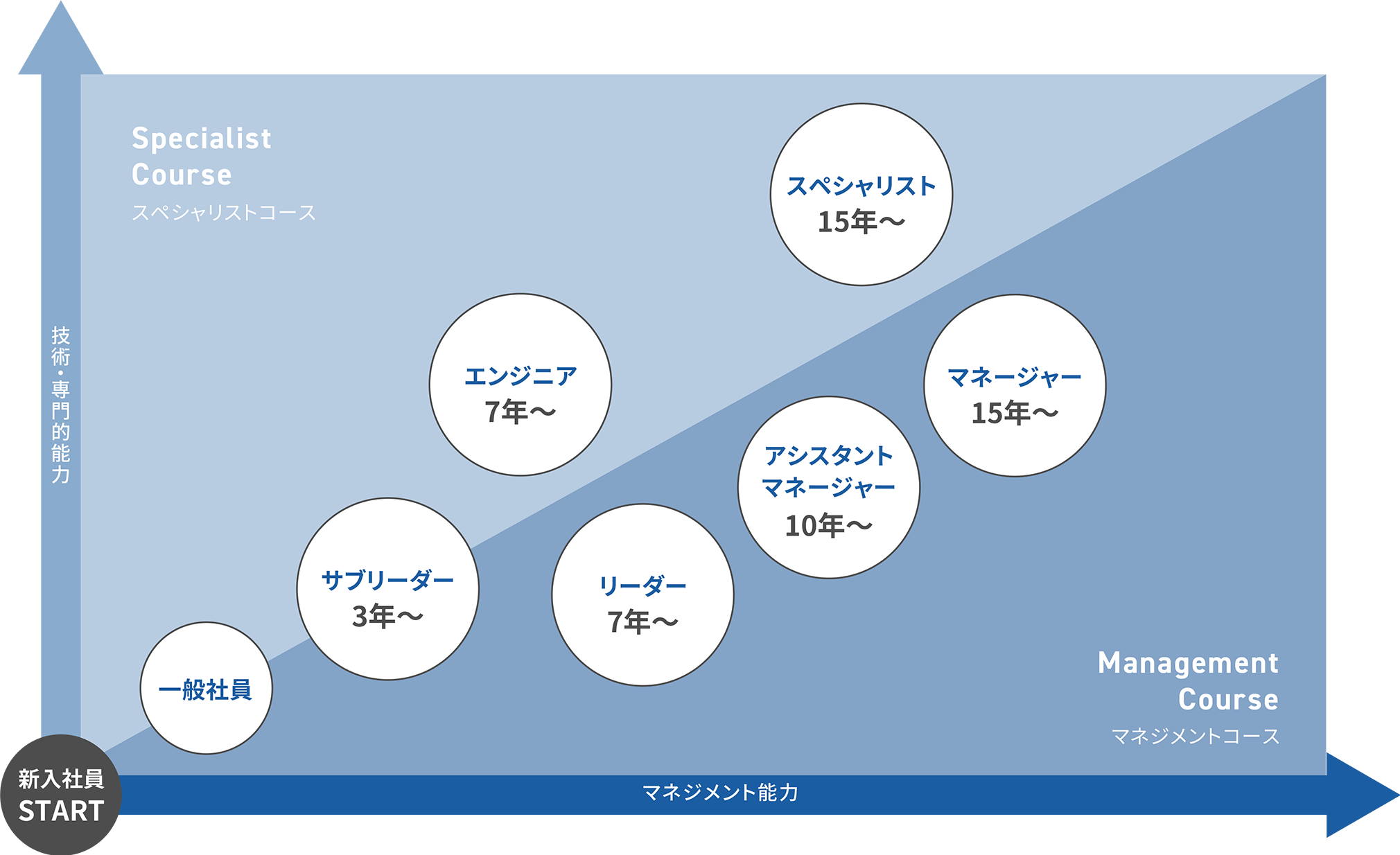 株式会社コダマのキャリアプラン